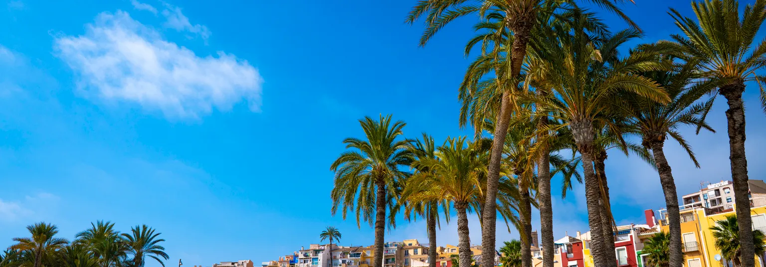 Mooie boulevard met palmbomen in Alicante, Spanje.